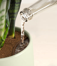 Load image into Gallery viewer, Turquoise stand:all