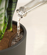 Load image into Gallery viewer, Dark Olive stand:all