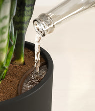 Load image into Gallery viewer, Black stand:all