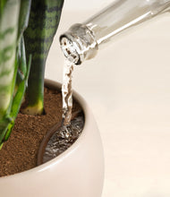 Load image into Gallery viewer, Desert Brown stand:all