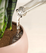 Load image into Gallery viewer, Calm Rose stand:all