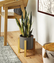 Load image into Gallery viewer, Dark Olive stand:light