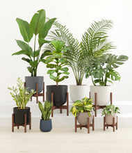 Load image into Gallery viewer, Mountain Top stand:six_stands