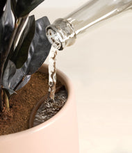 Load image into Gallery viewer, Gentle Pink stand:all