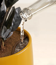 Load image into Gallery viewer, Mustard stand:all