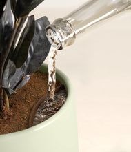 Load image into Gallery viewer, Turquoise stand:all