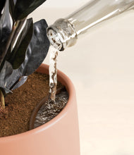 Load image into Gallery viewer, Calm Rose stand:all