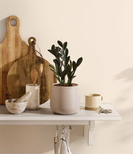 Load image into Gallery viewer, Eternal Gray