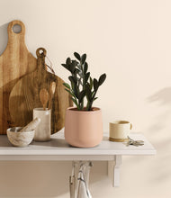 Load image into Gallery viewer, Gentle Pink