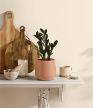 Load image into Gallery viewer, Calm Rose