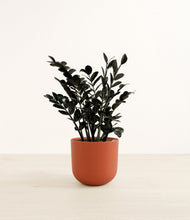 Load image into Gallery viewer, Earth Red*****Profile