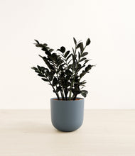 Load image into Gallery viewer, Iron Gray*****Profile