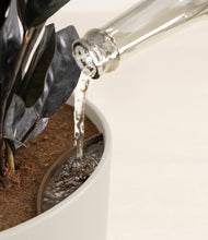 Load image into Gallery viewer, Natural Bamboo stand:all