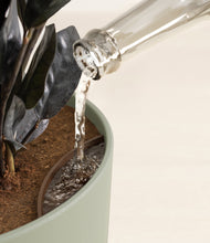 Load image into Gallery viewer, Sage Green stand:all