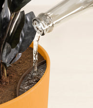 Load image into Gallery viewer, Sunset Orange stand:all