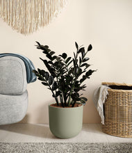 Load image into Gallery viewer, Sage Green