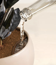 Load image into Gallery viewer, Desert Brown stand:all