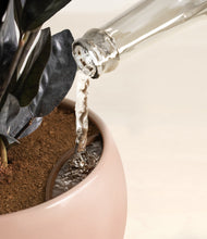 Load image into Gallery viewer, Calm Rose stand:all