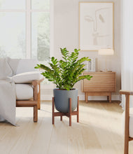 Load image into Gallery viewer, Iron Gray stand:walnut