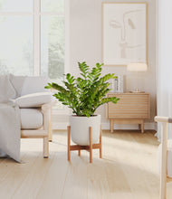 Load image into Gallery viewer, Natural Bamboo stand:bamboo