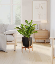 Load image into Gallery viewer, Stone Black stand:bamboo