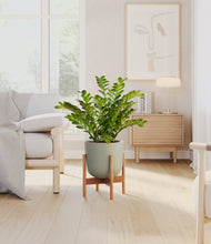 Load image into Gallery viewer, Sage Green stand:bamboo
