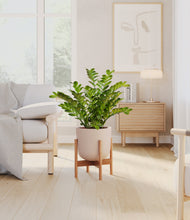 Load image into Gallery viewer, Sandy Pink stand:bamboo