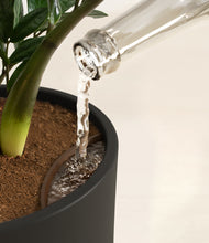 Load image into Gallery viewer, Charcoal