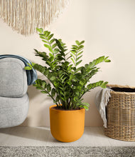 Load image into Gallery viewer, Sunset Orange