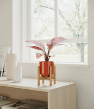 Load image into Gallery viewer, Glossy Red stand:bamboo