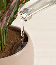 Load image into Gallery viewer, Sandy stand:all