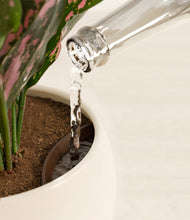 Load image into Gallery viewer, Woodland stand:all