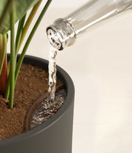 Load image into Gallery viewer, Dark Olive stand:all