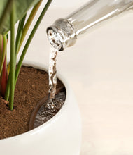 Load image into Gallery viewer, Shiny EggWhite stand:all