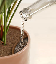 Load image into Gallery viewer, Hammered Peach Pink stand:all