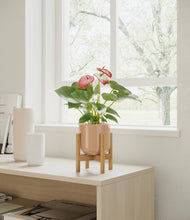 Load image into Gallery viewer, Glossy Pink stand:bamboo