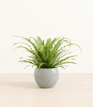 Load image into Gallery viewer, Deep Ocean*****Profile