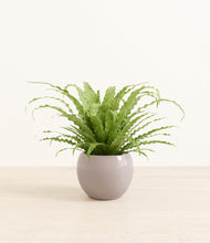 Load image into Gallery viewer, Winter Clouds*****Profile