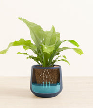 Load image into Gallery viewer, Deep Navy