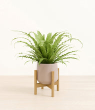 Load image into Gallery viewer, Eternal Gray stand:bamboo