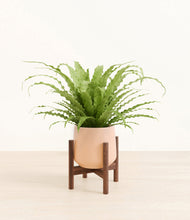 Load image into Gallery viewer, Gentle Pink stand:walnut