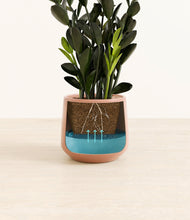 Load image into Gallery viewer, Calm Rose