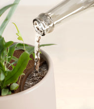 Load image into Gallery viewer, Eternal Gray stand:all