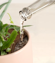 Load image into Gallery viewer, Gentle Pink stand:all