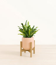 Load image into Gallery viewer, Gentle Pink stand:bamboo