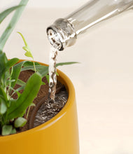 Load image into Gallery viewer, Mustard stand:all