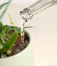 Load image into Gallery viewer, Turquoise stand:all