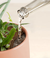 Load image into Gallery viewer, Calm Rose stand:all