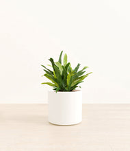 Load image into Gallery viewer, White*****Profile