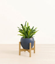 Load image into Gallery viewer, Deep Navy stand:bamboo